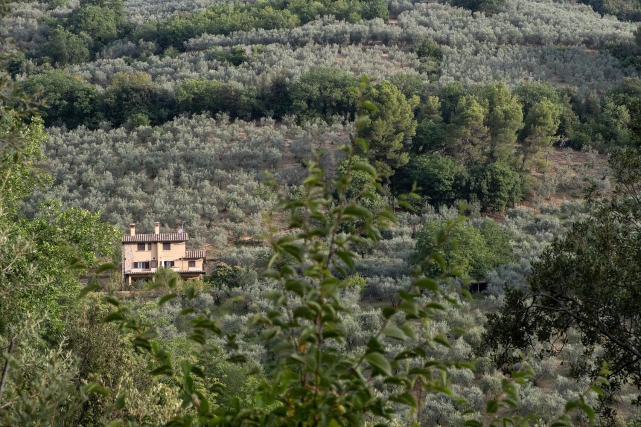 Agriturismo Il Casaletto Montefranco Exterior foto