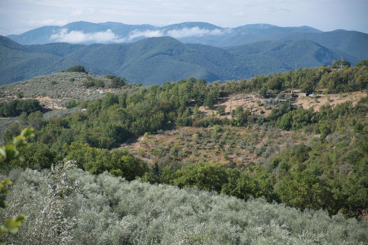 Agriturismo Il Casaletto Montefranco Exterior foto